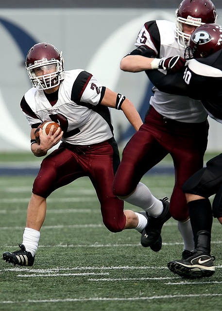 系象征着家 系象征着家