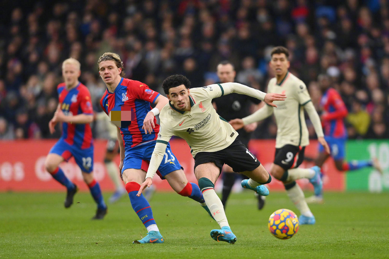 纵观整场比 纵观整场比